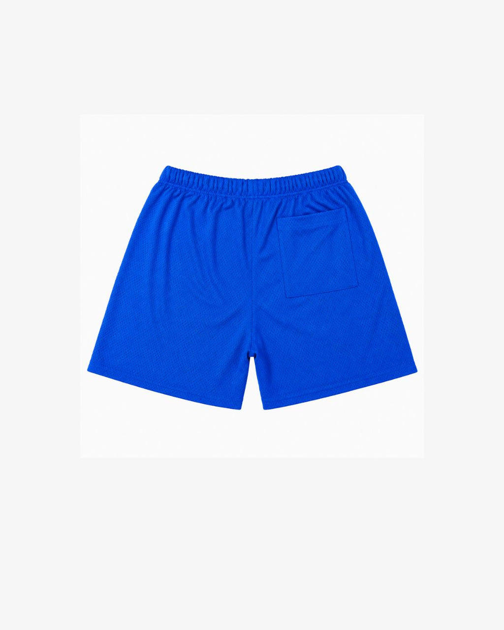 Civil Regime x Wolverine Blue Mesh Shorts